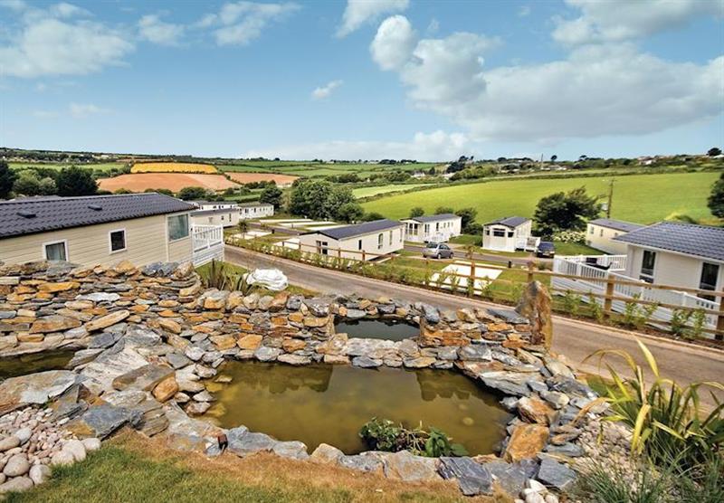 The park setting (photo number 4) at Praa Sands Holiday Park in Penzance, Cornwall