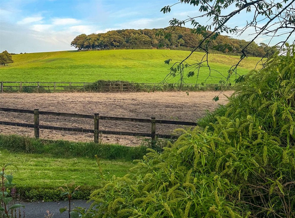 View at Prideaux Cottage in Par, Cornwall