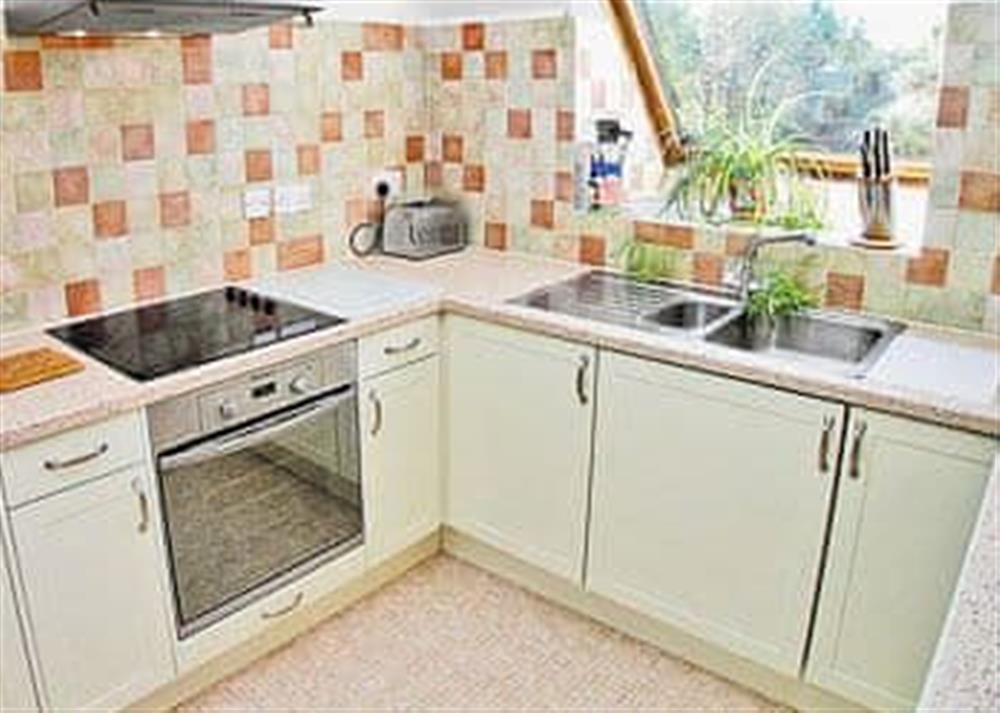 Kitchen (photo 2) at Prideaux in Eastbourne, Durham