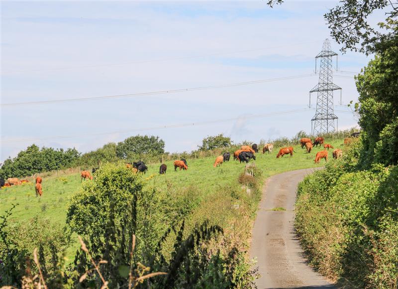 Rural landscape