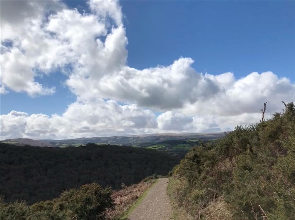 Hunters Path, which can be accessed on foot from the doorstep of Primrose Cottage, offering glorious views of the Teign Gorge. 