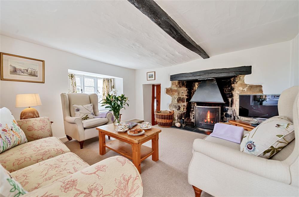Wind down and relax next to the open fire  at Primrose Cottage, Drewsteignton