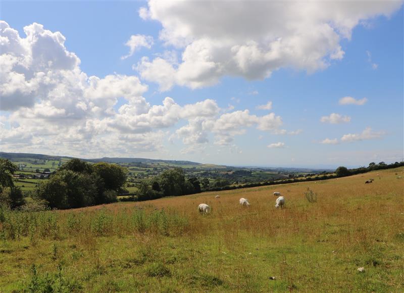 The area around Primrose Cottage