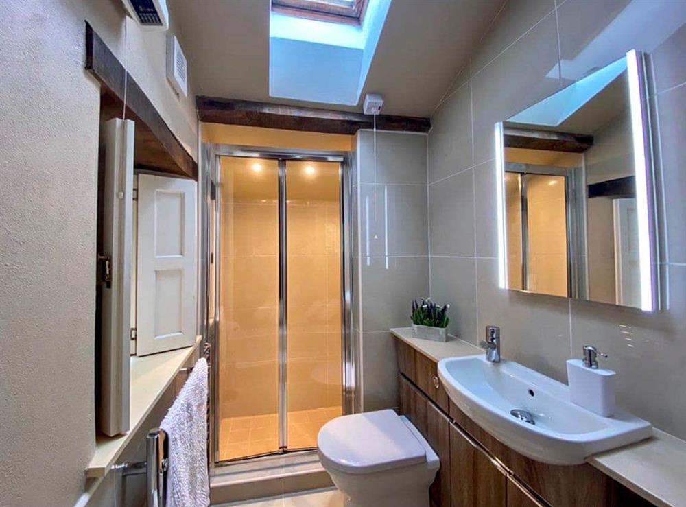 Shower room at Primrose Cottage in Narberth, Dyfed