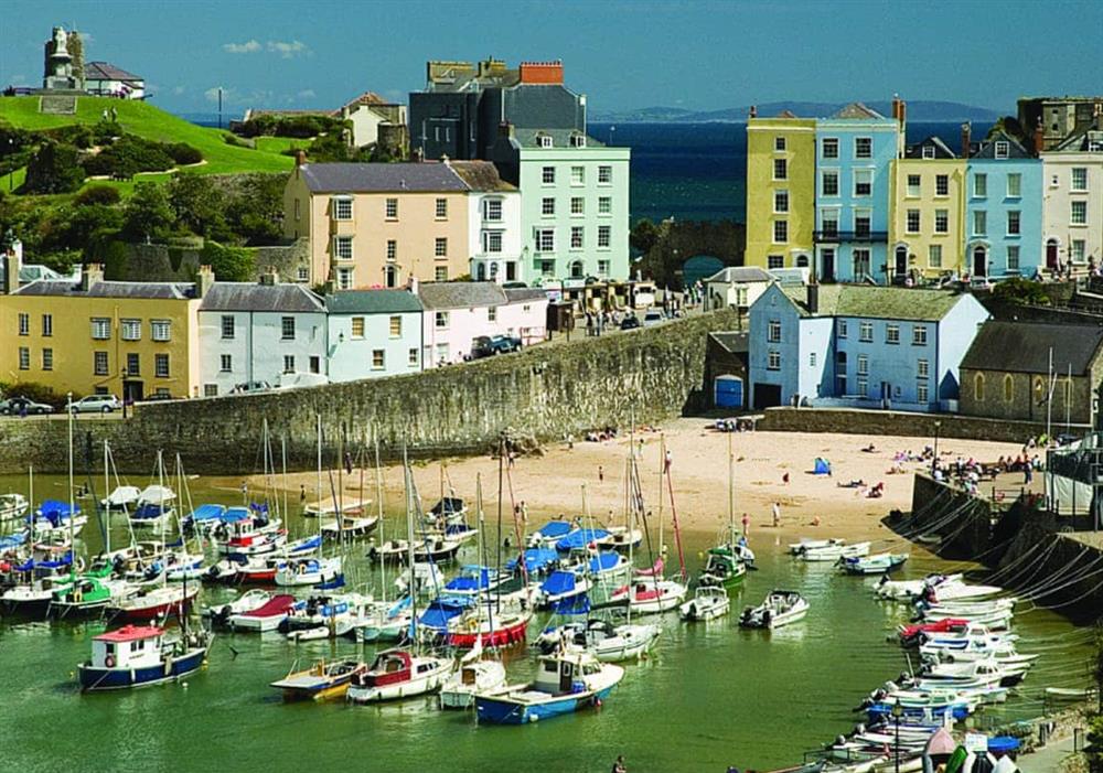 Tenby harbour at Primrose Cottage in Narberth, Dyfed