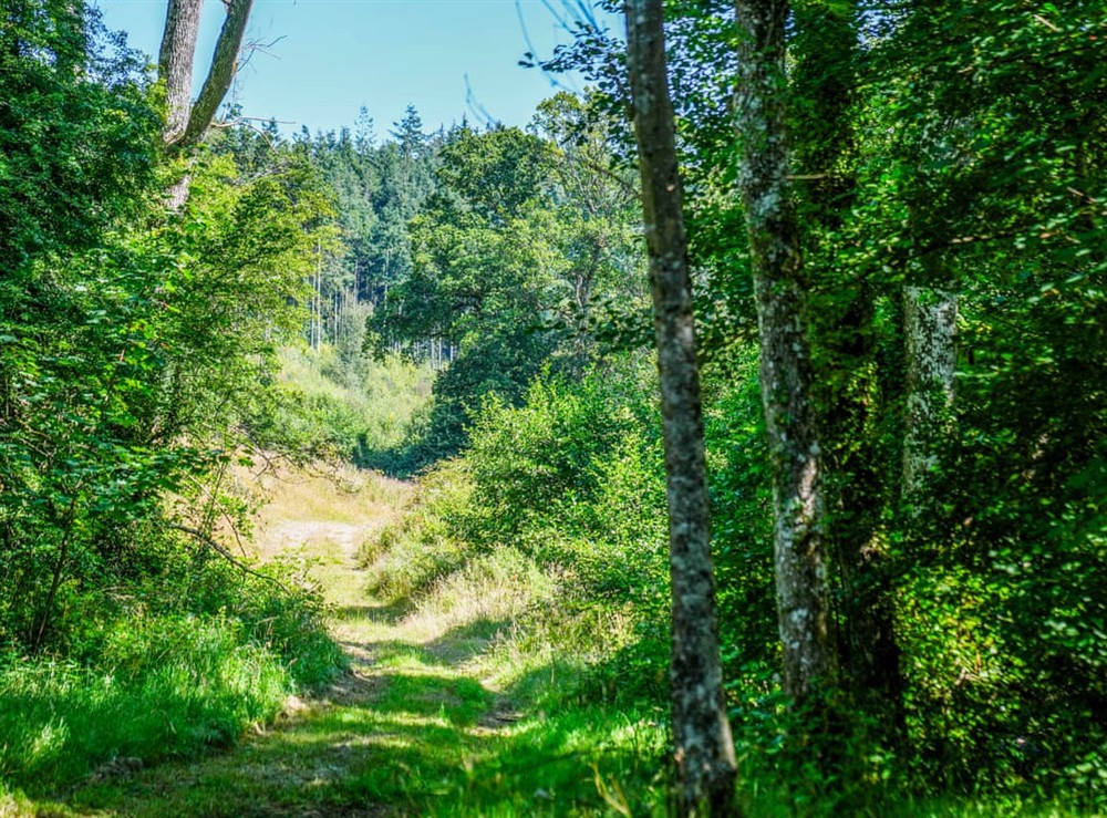 Surrounding area at Primrose Lodge in Hittisleigh, Devon