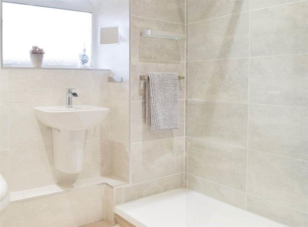 Shower room at Princess Court Apartment in Llanelli, Dyfed