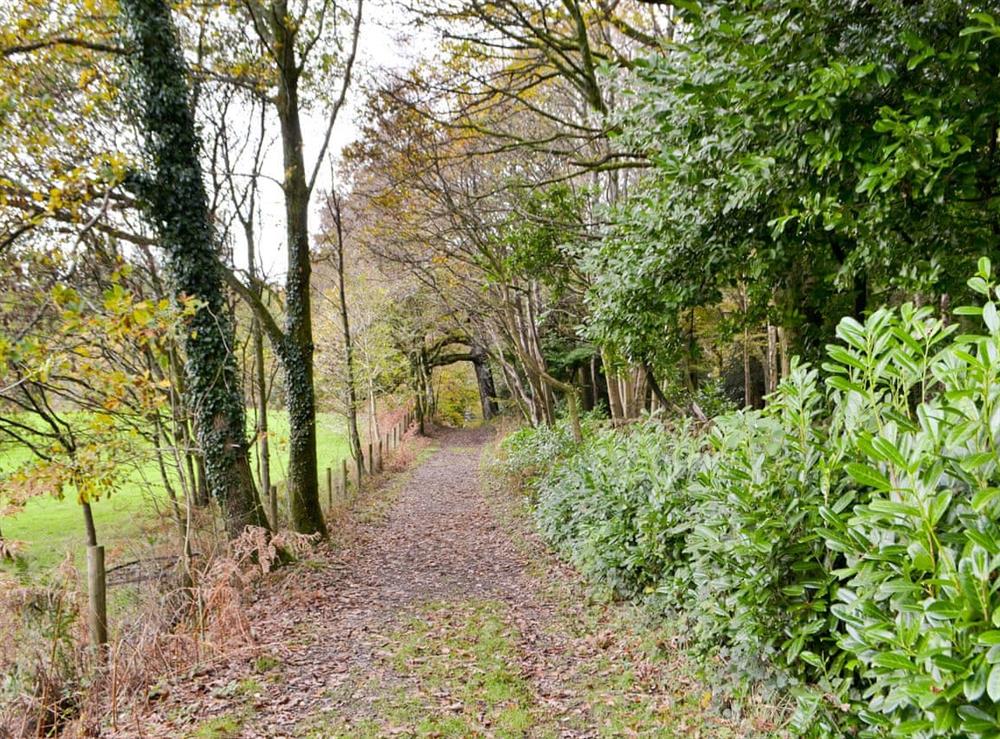 Woodland walks at Priory Manor in Windermere, Cumbria