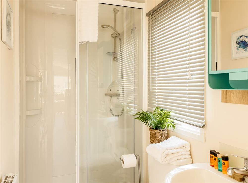 Shower room at Prosecco Palace in Poole, Dorset