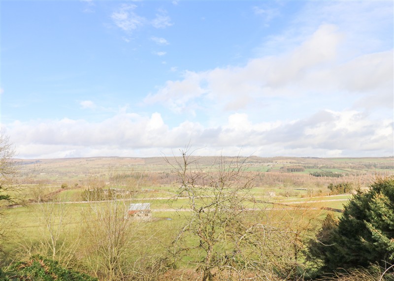 Rural landscape