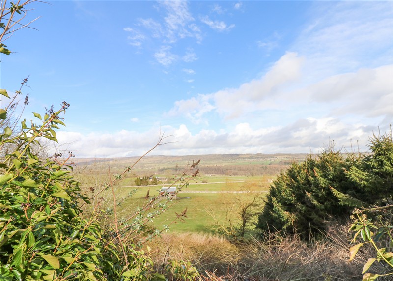 Rural landscape