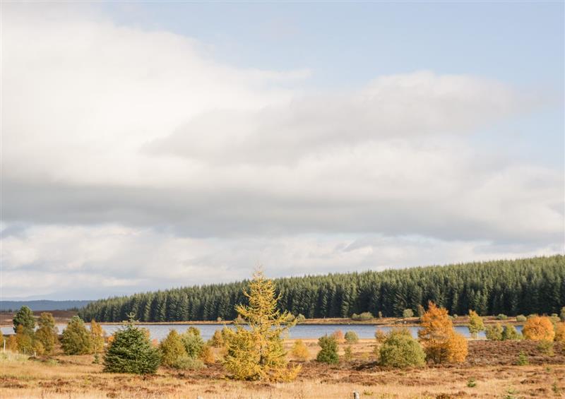 Rural landscape (photo 3) at Ptarmigan Lodge, Glengoulandie near Aberfeldy