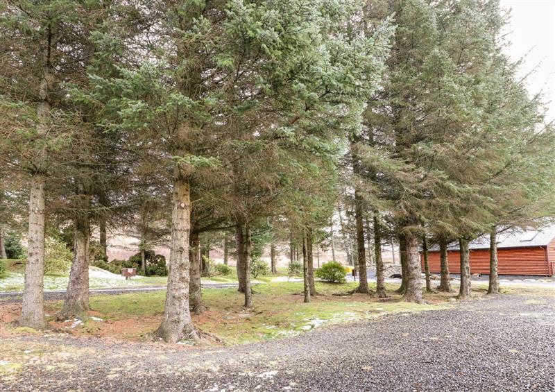 The setting (photo 3) at Ptarmigan Lodge, Glengoulandie near Aberfeldy
