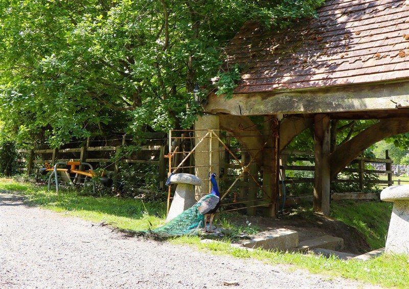 The garden in Pucklechurch at Pucklechurch, Kingsteignton