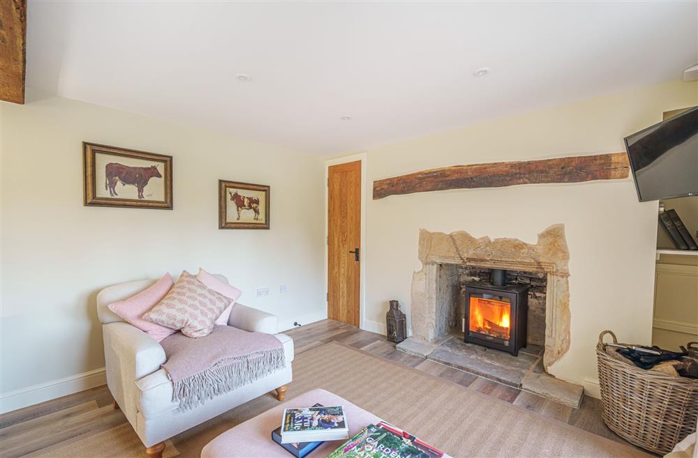 Relax with a good book in front of the wood burning stove at Puddle Cottage, Dorchester