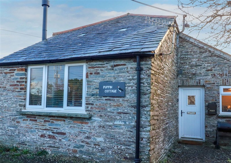Outside at Puffin Cottage, Tintagel