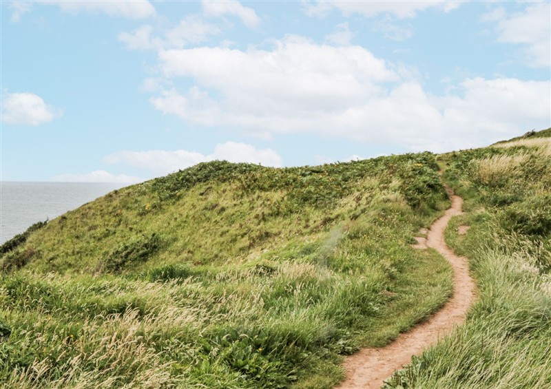 Enjoy the garden at Puffin, St Bees