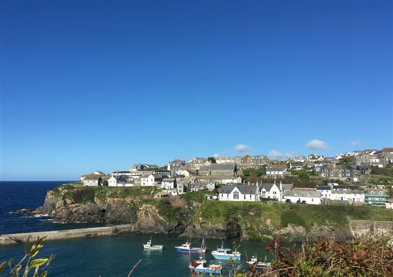 In the area at Puffins, Port Isaac