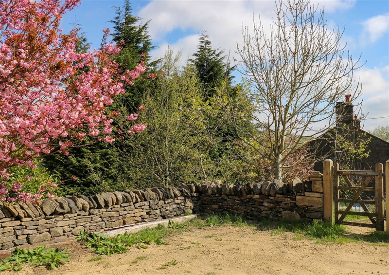 Outside at Pule Hill Farm, Marsden