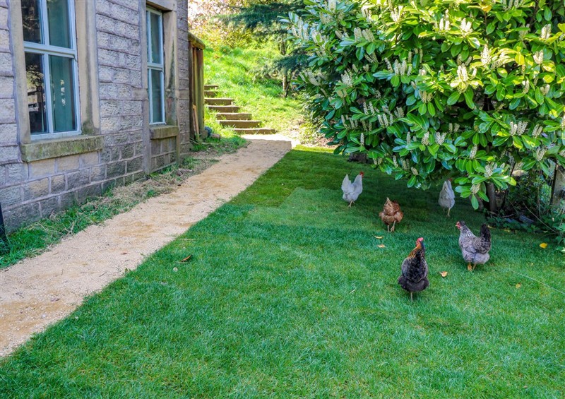 The garden (photo 3) at Pule Hill Farm, Marsden