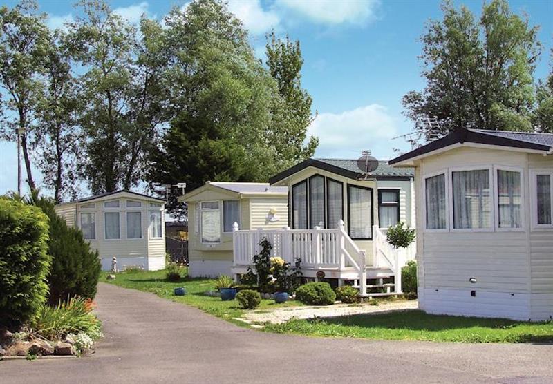 A photo of Purn Gold 8 (Pet) at Purn Holiday Park