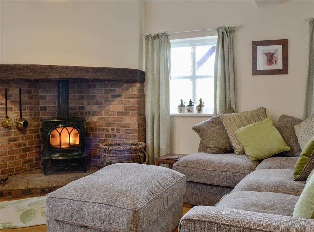 Cosy wood burner and comfy seating at Pussywillow Cottage in Rowrah, near Cockermouth, Cumbria