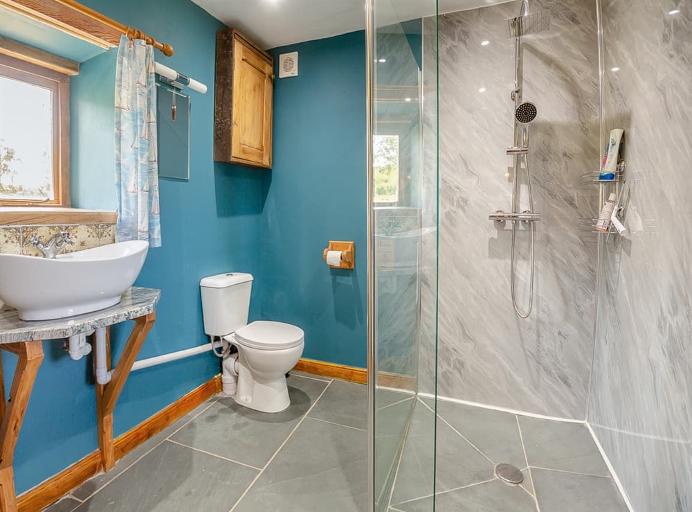 Bathroom at Pyllau Glesision in Abergele, Clwyd