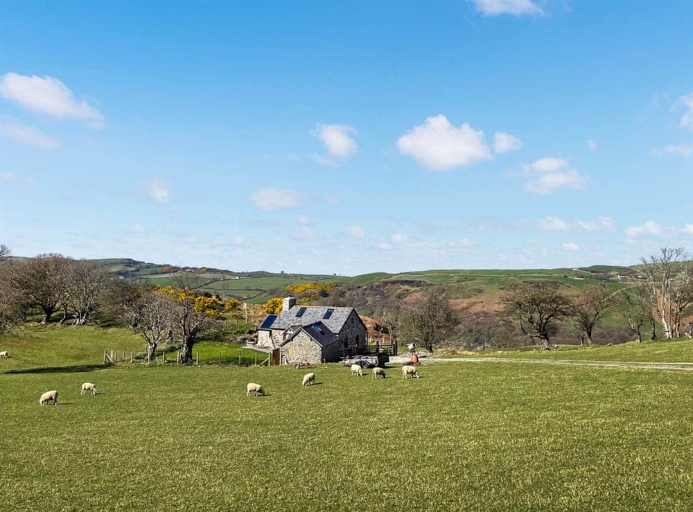 Setting at Pyllau Glesision in Abergele, Clwyd