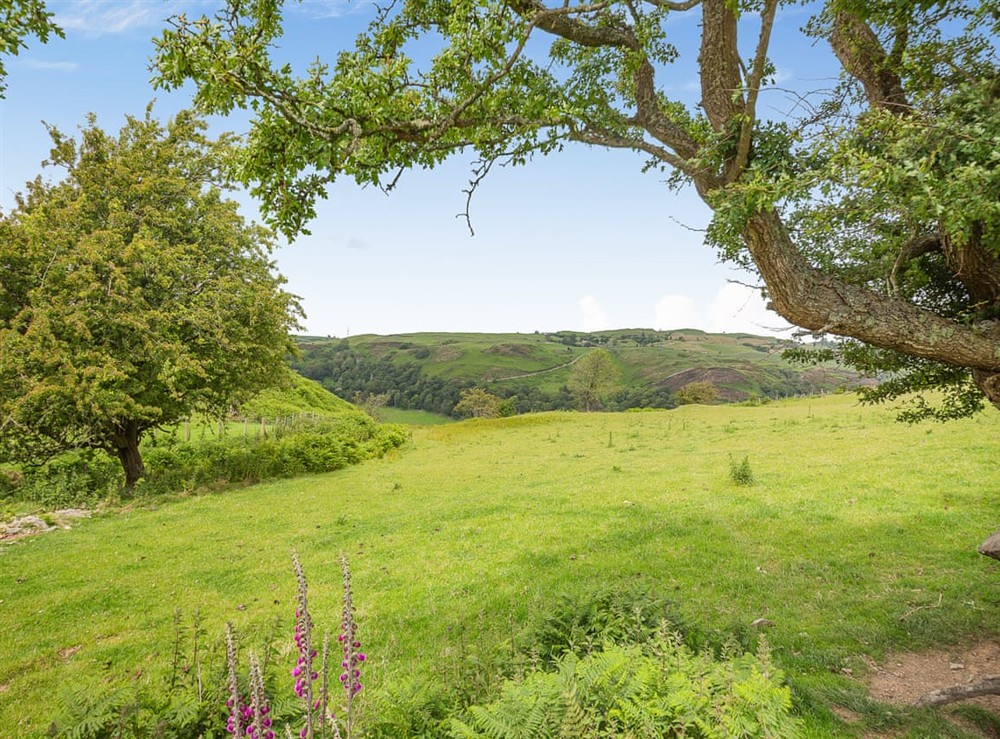 View at Pyllau Glesision in Abergele, Clwyd