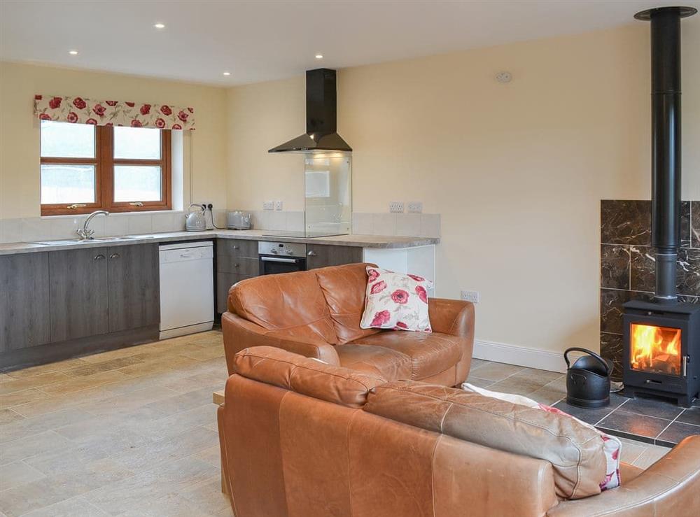 Delightfully cosy living room and adjacent kitchen area at Quails Nest in Edlingham, near Alnwick, Northumberland