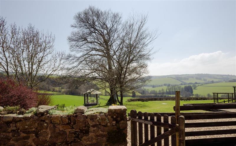 Rural landscape