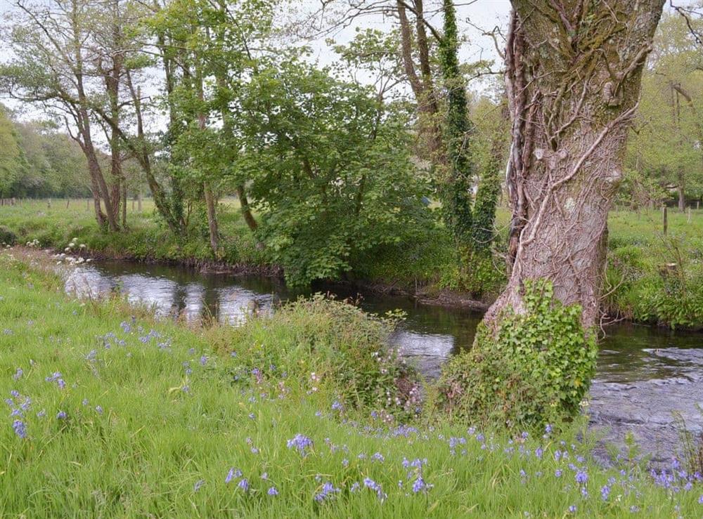 Tranquil local riverbank at Quarrymans Cottage in Golberdon, Nr Callington, Cornwall., Great Britain