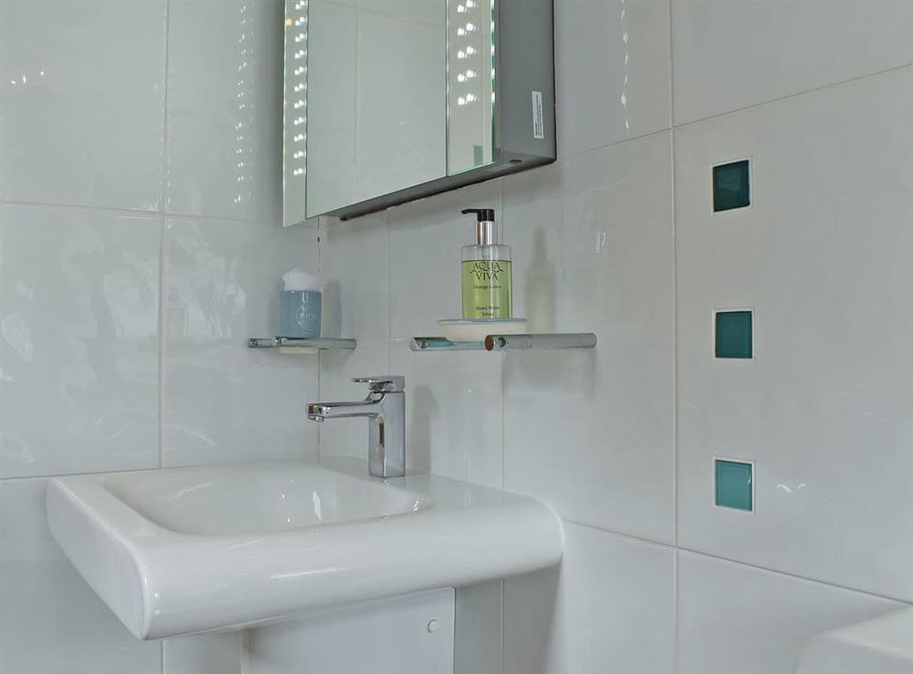 Shower room (photo 2) at Trenpeskador, 