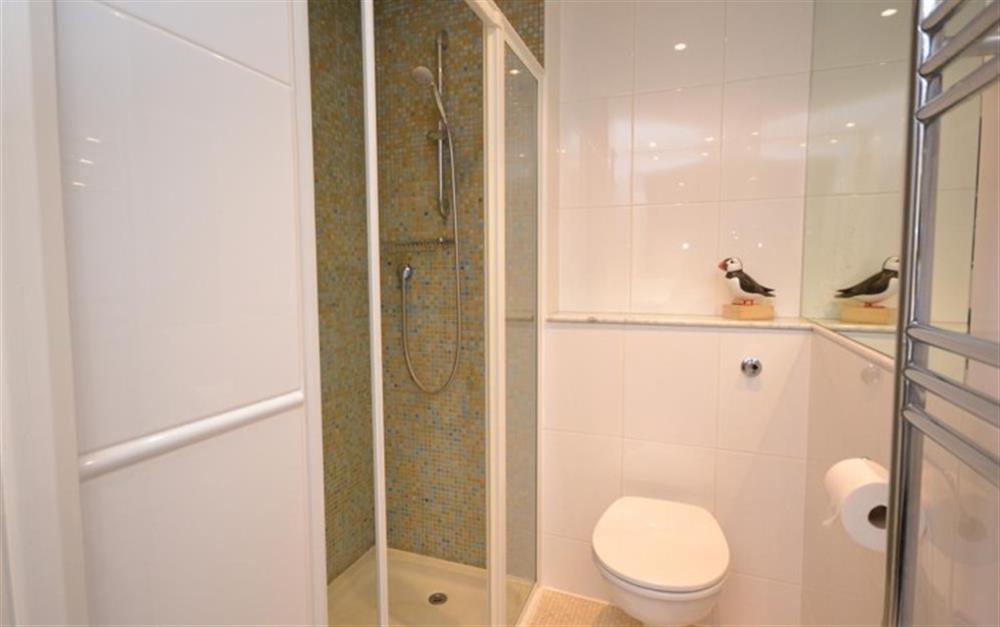 The master bedroom en suite shower room at Quarterdeck: The Salcombe in Salcombe
