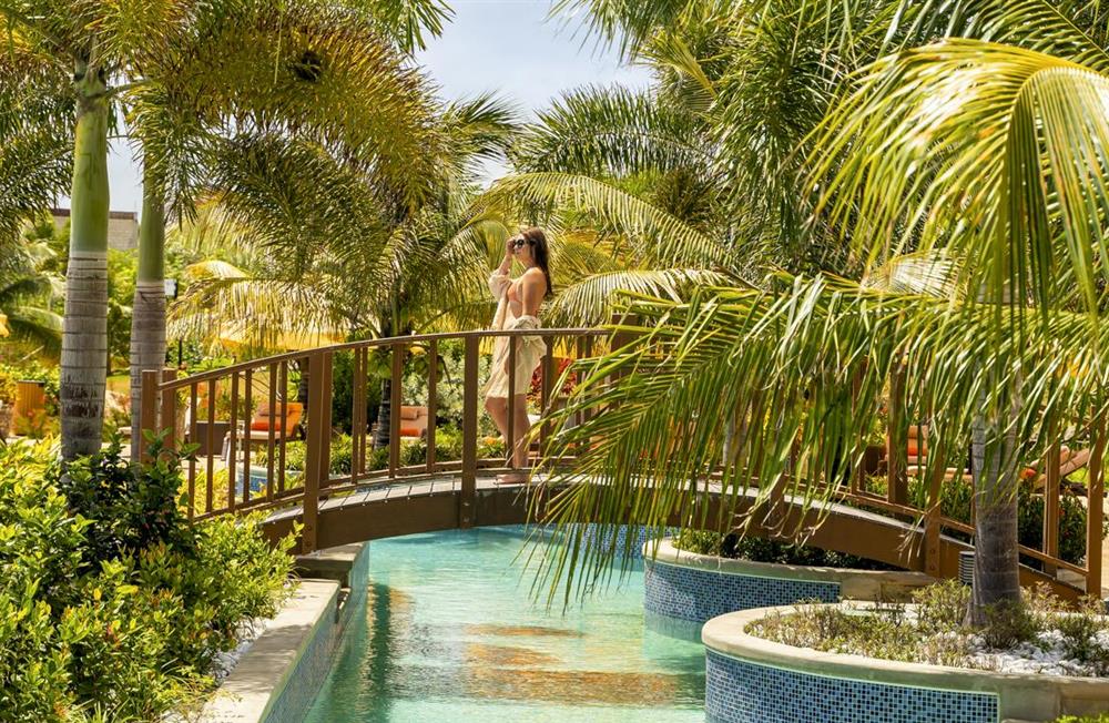 Quillside Lodge (photo 8) at Quillside Lodge in St Eustatius, Caribbean