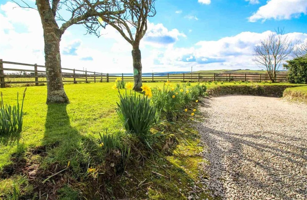 Garden and grounds at Quince Cottage, Pendower in Veryan, Cornwall