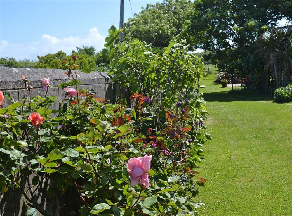 Beautiful garden and grounds (photo 2) at Barn Cottage, 