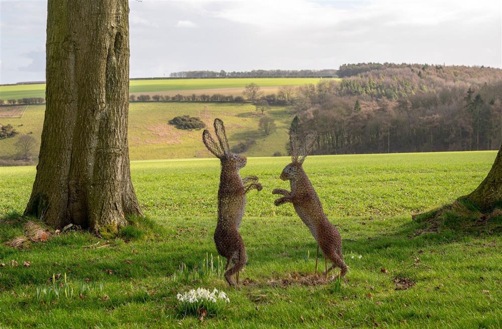 The countryside