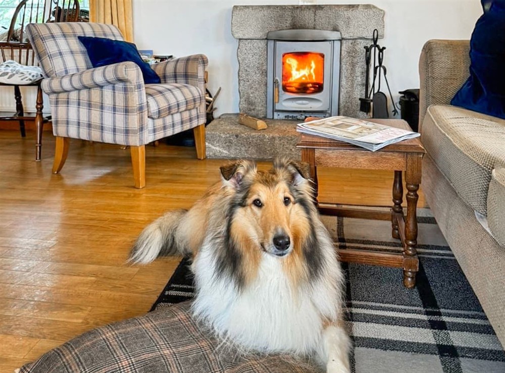 Living area (photo 3) at Raddons in Bude, Cornwall