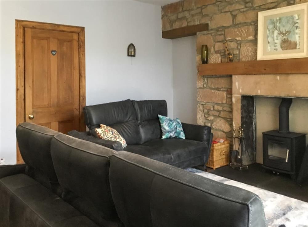 Living room (photo 3) at Railway Cottage in Aviemore, Perthshire