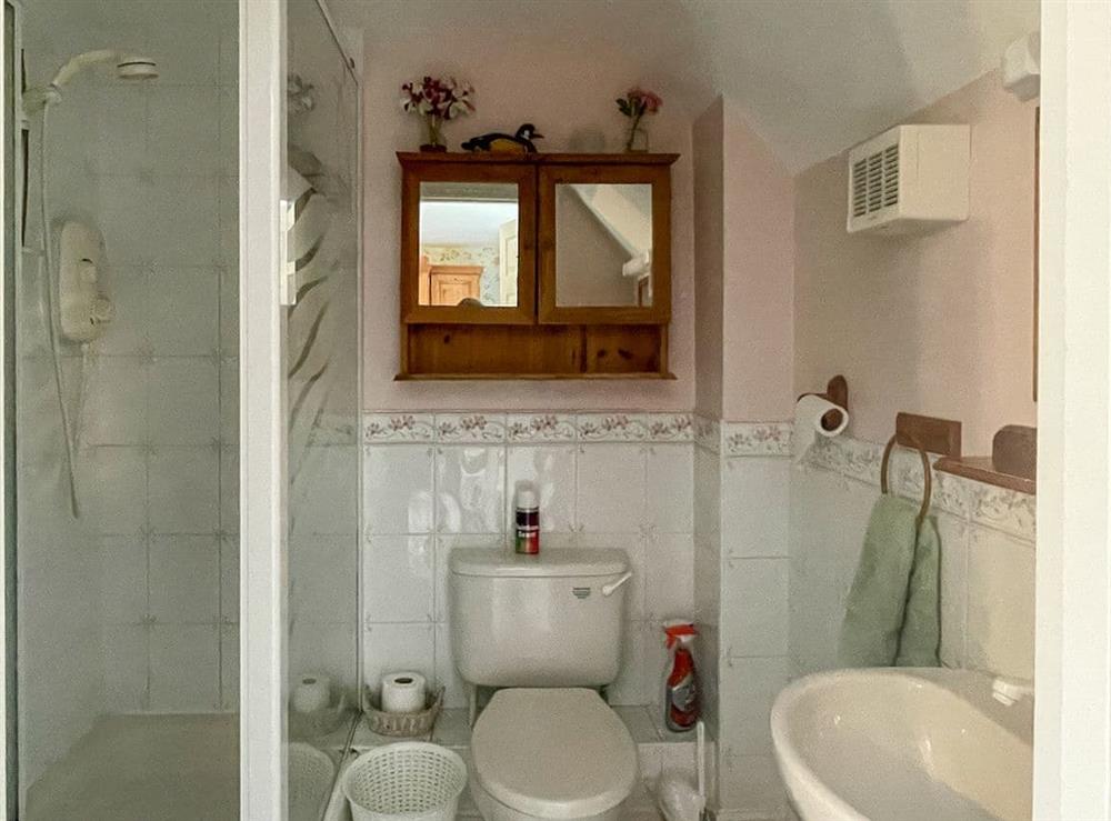 Shower room at Rainbow Cottage in Bridport, Dorset