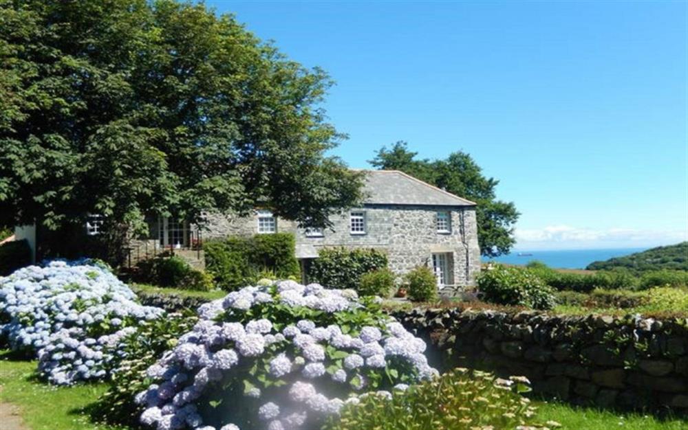 The shared garden is well-established with trees, bushes and shrubs which create  beautiful backdrop for your holiday accommodation. at Rainbow End in Porthallow