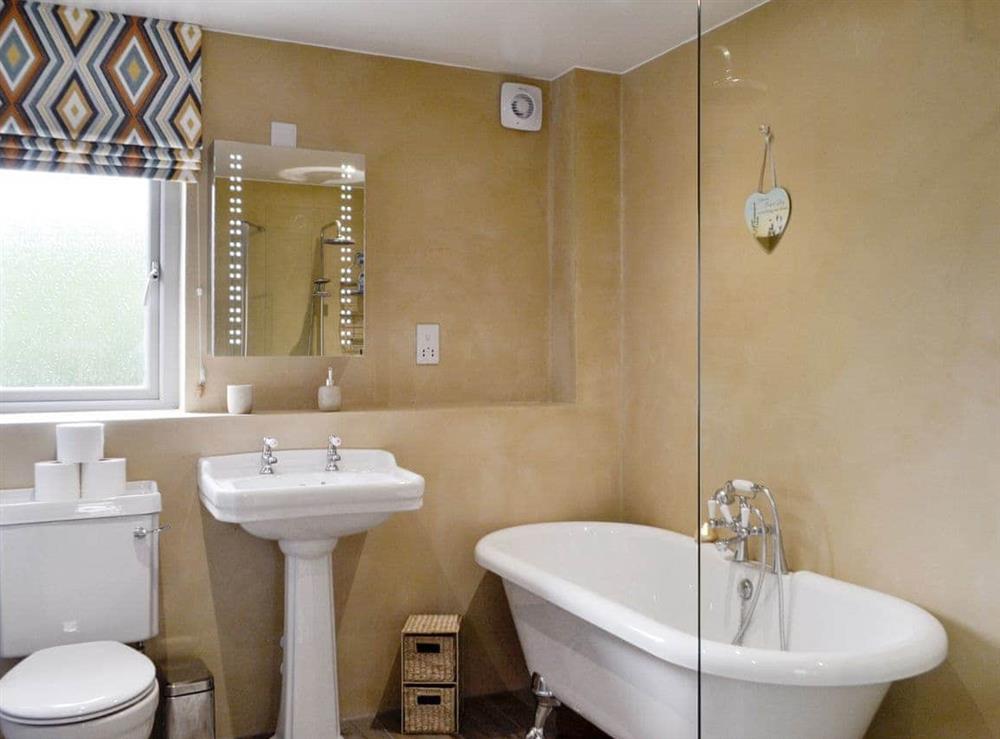 Family bathroom with bath and shower enclosure at Ramerish Retreat in Laurieston, near Gatehouse of Fleet, Kirkcudbrightshire