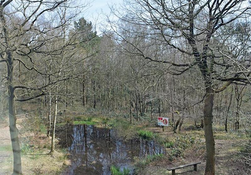 Typical Woodlands 4 (photo number 4) at Ramshorn Estate Woodland Lodges in Oakamoor, Staffordshire