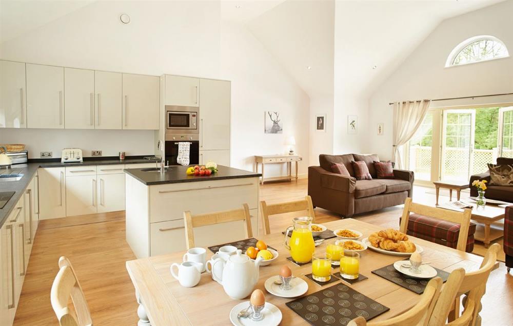 Open plan kitchen/dining/sitting area at Ramson Lodge, Wakes Colne