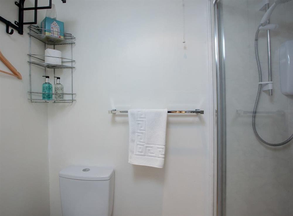 Shower room at Ranscombe House in Brixham, Devon