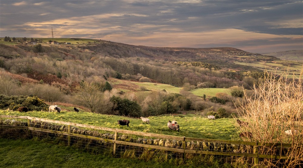 The countryside surrounding Ravenscar Chapel Cottage, North Yorkshire at Ravenscar Chapel Cottage in Scarborough, North Yorkshire