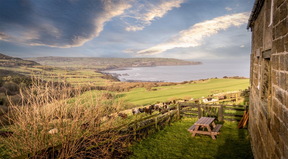 The view of the bay from the garden of Ravenscar Chapel Cottage, North Yorkshire at Ravenscar Chapel Cottage in Scarborough, North Yorkshire