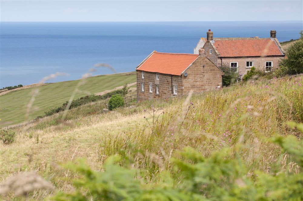 Views from Ravenscar Chapel Cottage