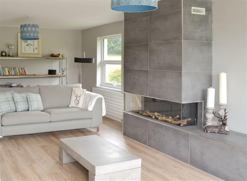 Modern feature fireplace within the living room at Rayrigg in Bowness-on-Windermere, Cumbria